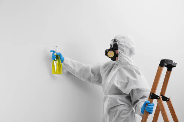 Best Asbestos and Lead Testing During Mold Inspection  in Manatee Road, FL