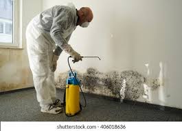 Best Mold Prevention Services  in Manatee Road, FL